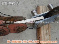 華能?chē)?guó)際福州電廠門(mén)座式起重機(jī)安裝BH板環(huán)拉式傳