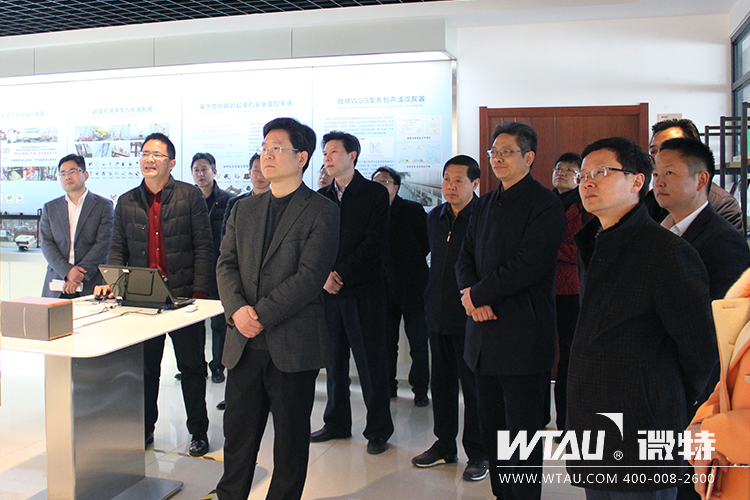 市委常委、組織部長(zhǎng)汪偉來(lái)微特調(diào)研