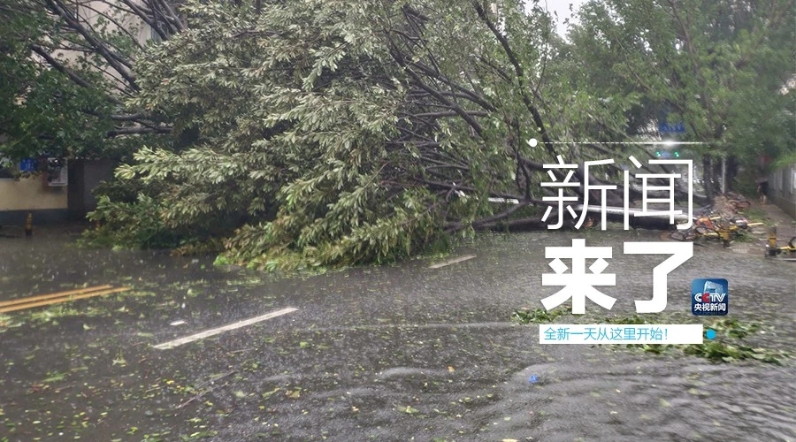 &ldquo;山竹&rdquo;怒過，高空塔吊你還好嗎？